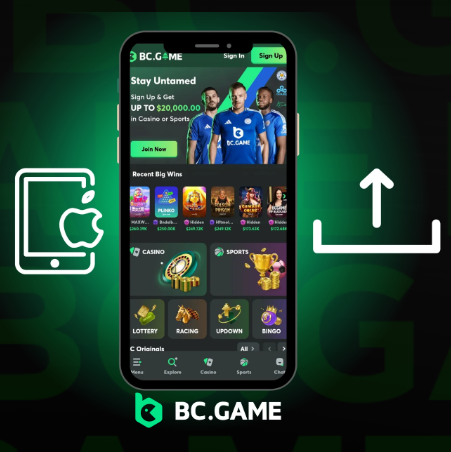 Exploring the Exciting World of BC Game Casino